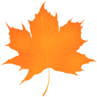 Autumn Leaf Orange PNG Transparent Clipart