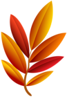 Autumn Leaf PNG Image