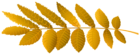 Autumn Leaf PNG Transparent Clipart