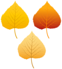 Autumn Leaves 3 Colors Transparent Clipart
