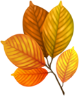Autumn Leaves Branch PNG Clipart