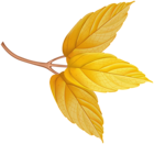 Autumn Leaves Branch PNG Clipart