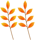 Autumn Leaves Branches PNG Clipart