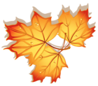 Autumn Leaves Clipart Image