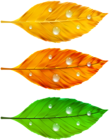 Autumn Leaves PNG Clip Art
