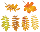 Autumn Leaves PNG Transparent Clip Art Image