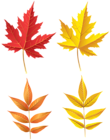 Autumn Leaves Set PNG Clip Art