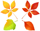 Autumn Leaves Set PNG Clip Art Image