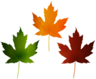 Autumn Leaves Set PNG Clip Art Image