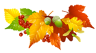 Autumn Leaves and Acorns Decor PNG Picture