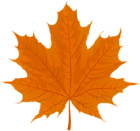 Autumn Orange Leaf PNG Clipart