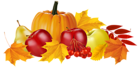 Autumn Pumpkin and Fruits PNG Clipart Image