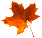 Autumn Red Leaf PNG Clipart Image