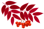 Autumn Red Leaves Decoration PNG Clipart Image