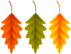 Autumn Set Leaves PNG Clipart