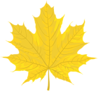 Autumn Yellow Leaf PNG Clipart