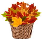 Basket with Autumn Leaves PNG Clipart