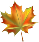 Beautiful Autumn Leaf Transparent PNG Clip Art Image