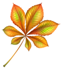 Beautiful Autumn Orange Leaf PNG Clipart Image