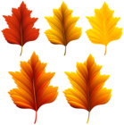 Beautiful Fall Leaves Set PNG Clipart Image
