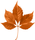 Beautiful Orange Fall Leaf PNG Clipart