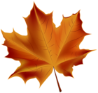Beautiful Red Autumn Leaf Transparent PNG Clip Art Image