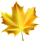 Beautiful Yellow Autumn Leaf Transparent PNG Clip Art Image
