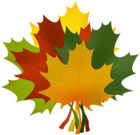 Bouquet of Autumn Leaves PNG Clipart