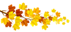Branch with Autumn Leaves PNG Clipart