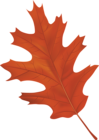 Brown Autumn Leaf PNG Clipart Image