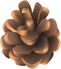 Brown Pinecone PNG Clipart