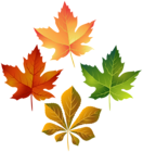 Colorful Autumn Leaves PNG Clip Art Image