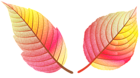 Colorful Fall Leaves PNG Clip Art Image