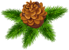 Cone with Pine Branches PNG Clip Art Image