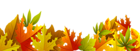Decorative Autumn Leaves PNG Clipart