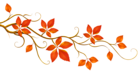 Decorative Branch with Autumn Leaves PNG Clipart | Gallery Yopriceville ...