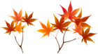 Fall Branches PNG Clip Art Image