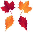 Fall Deco Leaves PNG Clip Art Image