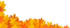Fall Decoration PNG Clip Art Image