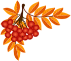 Fall Decoration PNG Clip Art Image
