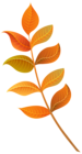 Fall Decorative Leaves PNG Clipart Image