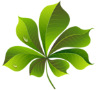 Fall Green Leaf PNG Clipart Image