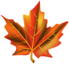 Fall Leaf Orange PNG Clipart