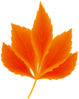 Fall Leaf Orange Transparent PNG Clipart