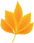 Fall Leaf Yellow Transparent PNG Clipart