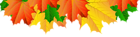 Fall Leaves Border PNG Clip Art Image