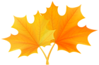 Fall Leaves PNG Clip Art