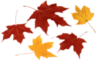 Fall Leaves PNG Clipart