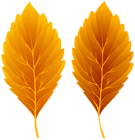 Fall Leaves PNG Clipart Image
