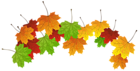 Fall Leaves PNG Clipart Image